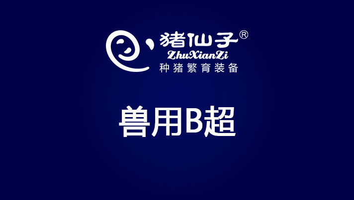 兽用B超