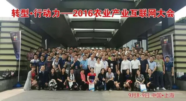 猪仙子3.jpg