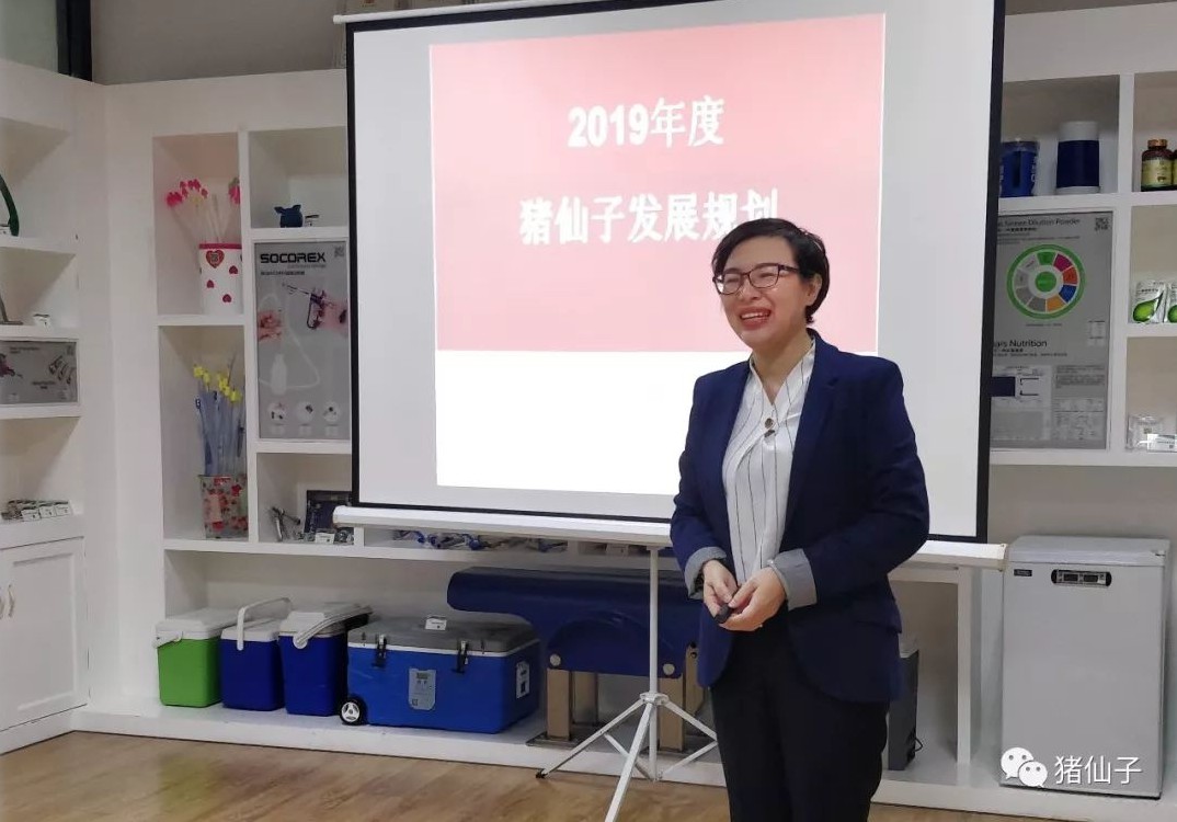 猪仙子邹.jpg
