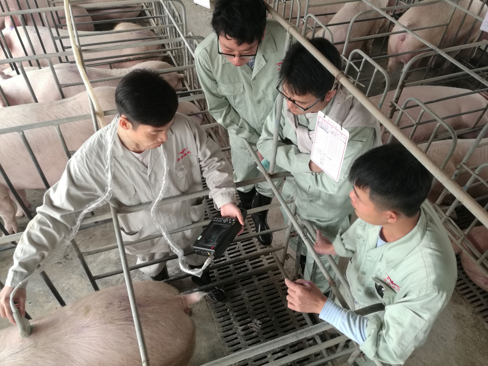 第三方法嗯嗯.jpg