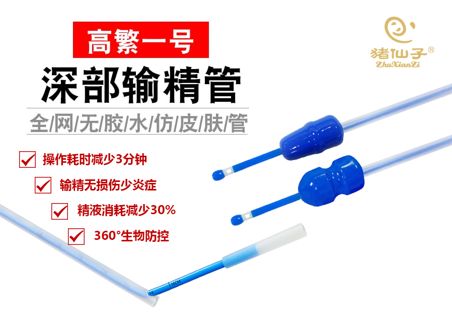 1高繁一号1.jpg 1高繁一号1.jpg