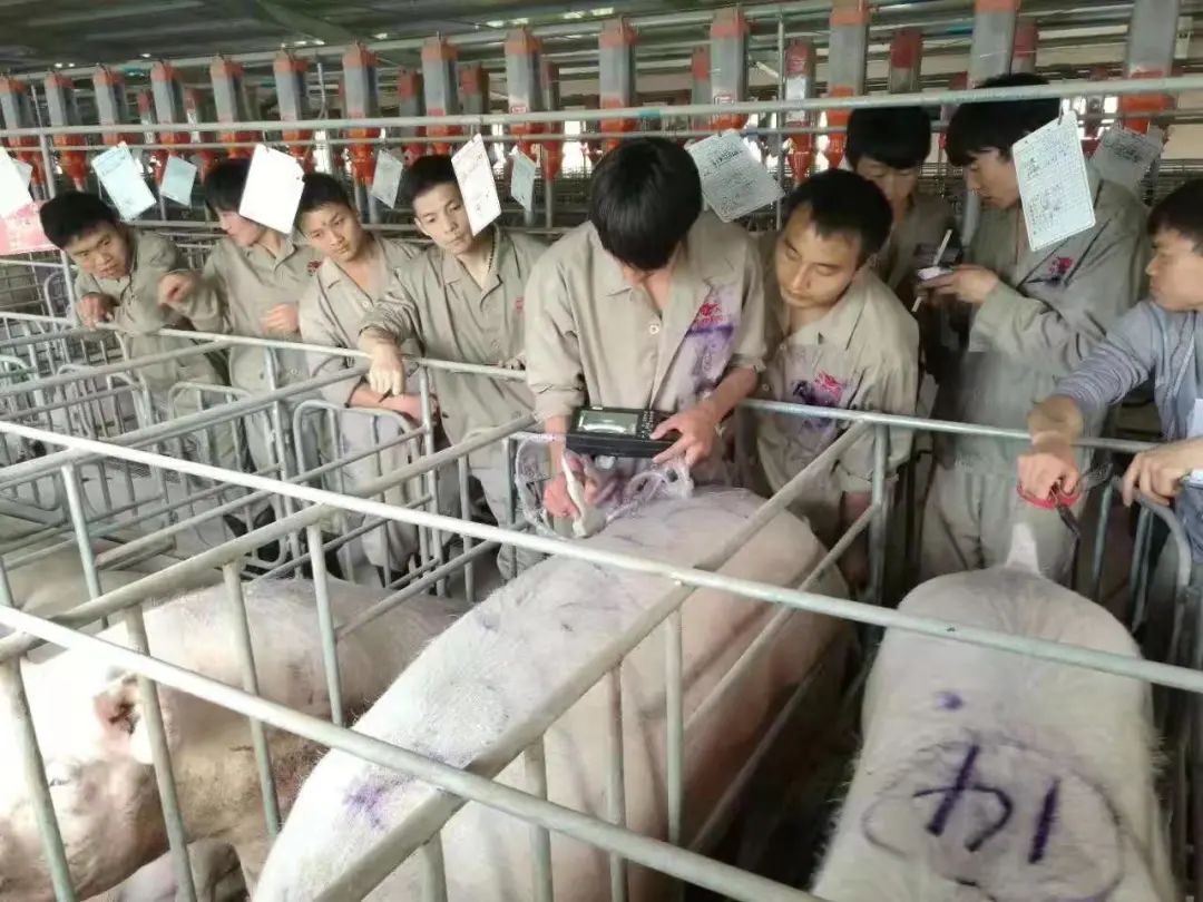 微信图片_20210728101017.jpg 微信图片_20210728101017.jpg
